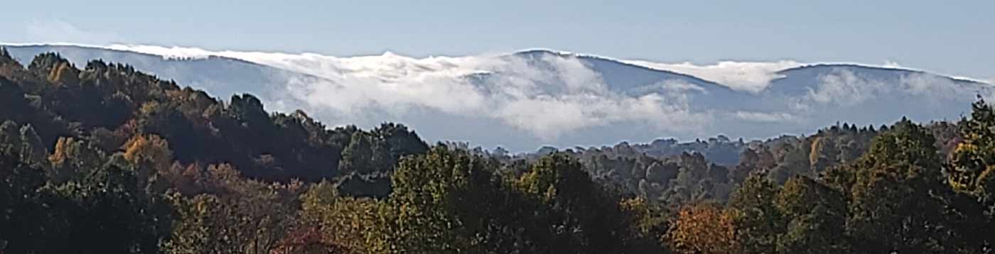 Forest and mountain panorama in Preston County West Virginia