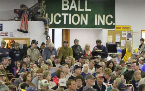 ball auction